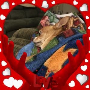 Meet your Posher, Cheryl